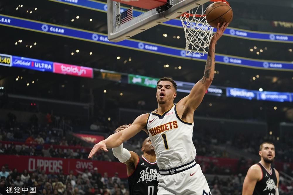 的替补方案 的替补方案